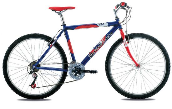 bicicletta bottecchia fx 350 prezzo