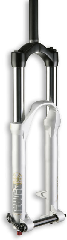 Domain 302 - Rockshox