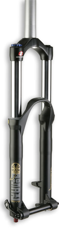 Domain 318IS 180mm - Rockshox
