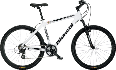 Ruck 2800 VB Altus mix V-Brake 24sp - Bianchi