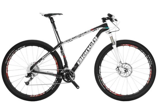 METHANOL 29 SL 29.3 - Bianchi