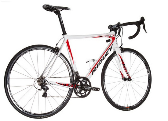 FENIX 1307B - Ridley