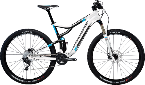 TRIGGER 29ER 3 - Cannondale