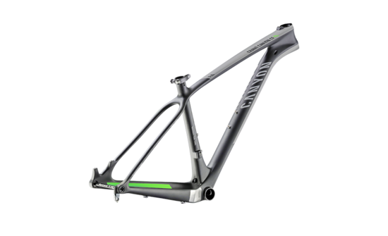 GRAND CANYON CF SL 29 FRAMESET - Canyon