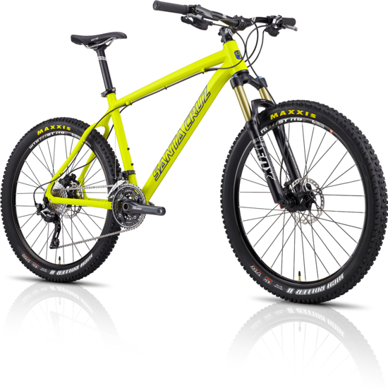 Chameleon - Santa Cruz