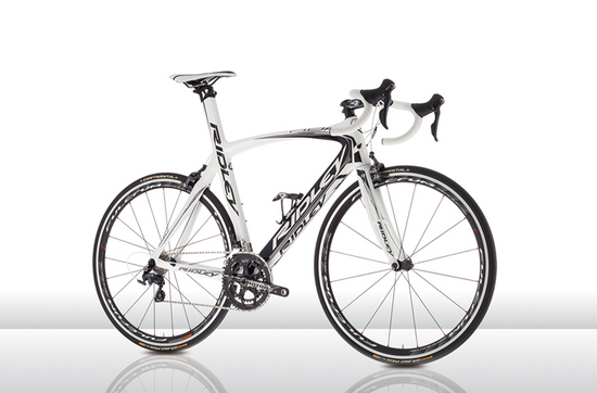 Noah fast 1303F - Ridley